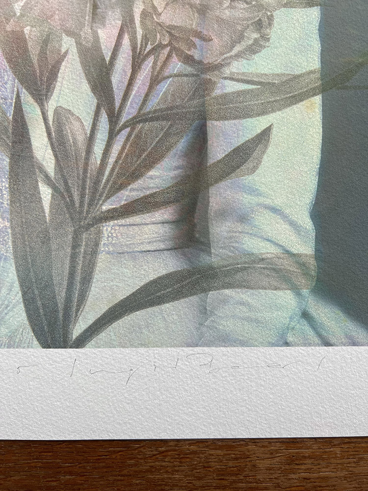 BELOVED, 2025 - Image 4